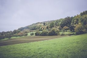 green fields in bavaria