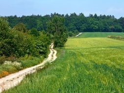 dirt road in the vicinity of the village of bolechowice