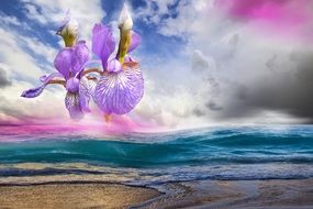 graphic image of iris flowers in a purple sky