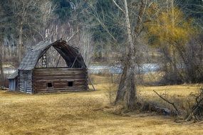 Old Wooden shed among trees at fall