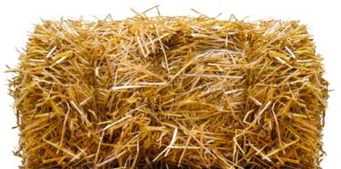 Autumn straw bales