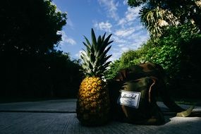 pineapple near a backpack on the road