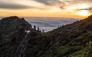 green hills at sunset on madeira island
