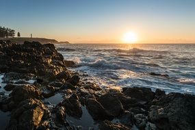 incredibly handsome Coast