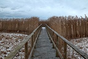 wooden pedestrian bridge over reed fields