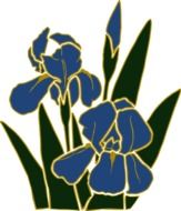 drawing of a blue iris with green leaves