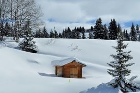 Snow Alps hut in forest winter season