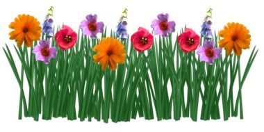 colorful Spring Flowers Grass drawing