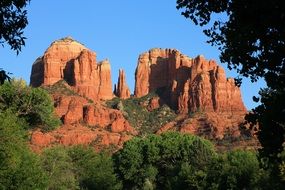 red rocks and green trees in the Grand Canyon National Park