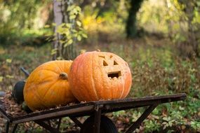 pumpkins on a wooden board for halloween