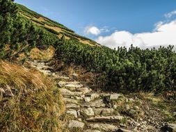 stone built path in mountains