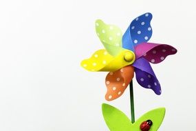 toy flower with petals of different colors