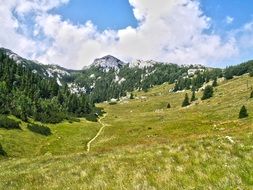 mountain landscape green hills forest view