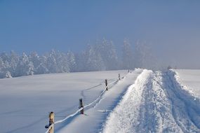 photo of a snowy winter road on a background of fir forest