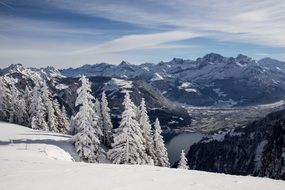 Landscape of snowy mountain forest