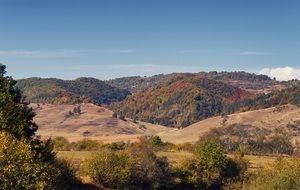 panoramic view of the picturesque autumn landscape on a sunny day