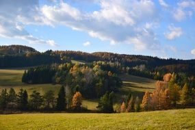 Landscape of the forest and mountains in autumn