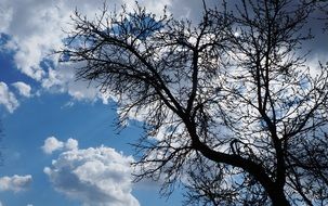 clouds in the blue summer sky