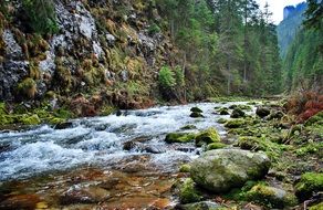 mountain stream in the Tatra Mountains