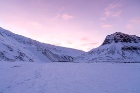 quiet snowy mountain landscape in the pink twilight