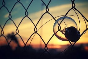 light bulb in the fence