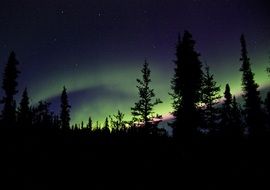 Northern Lights over dark forest
