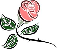 patterned rose drawing