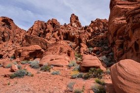 Red Rock Desert