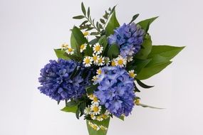 bouquet of white daisies and blue hyacinths