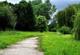 path in the park near the trees