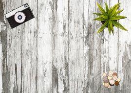 Camera Green Plant White wooden Desk Blank Empty