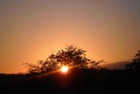 sun over the nature of alsace at dusk