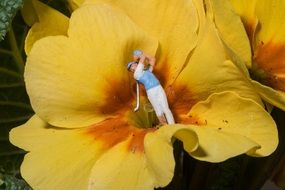 Golf player in center of yellow flower, collage