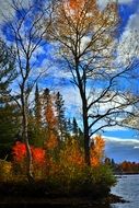 gorgeous Autumn Landscape