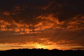 sunny evening over black silhouettes