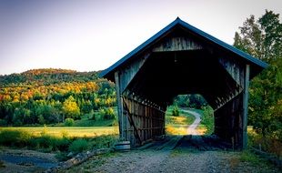 covered bridge in the forest