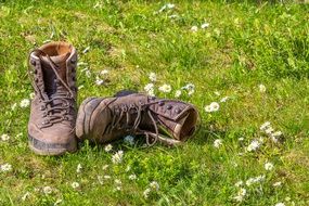 Hiking shoes on the green field