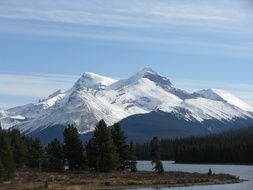 forest by the river on a background of snowy mountains