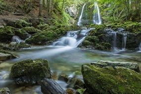 scenic waterfall in forest