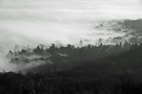 Kassel Fog Mountain