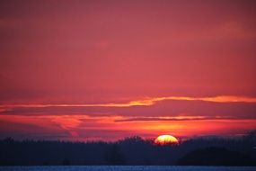 pink evening sky over the forest