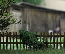 green grass near a wooden fence on a barn background