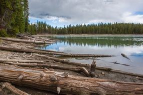 picturesque and Lake Logs