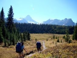 incredibly delicious Hiking Landscape