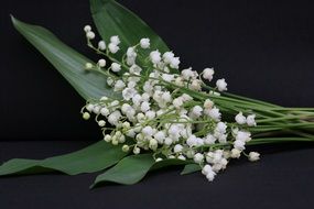 bouquet of lilies of the valley as a symbol of May Day
