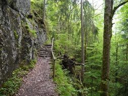 incredibly delicious Green Path