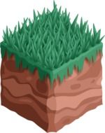 Sod Earth Grass drawing