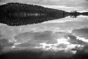 black white photo reflection of trees in a lake