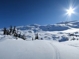 Landscape of Canada in the winter