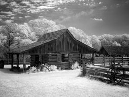 farm buildings at forest, infra red photo, usa, alabama